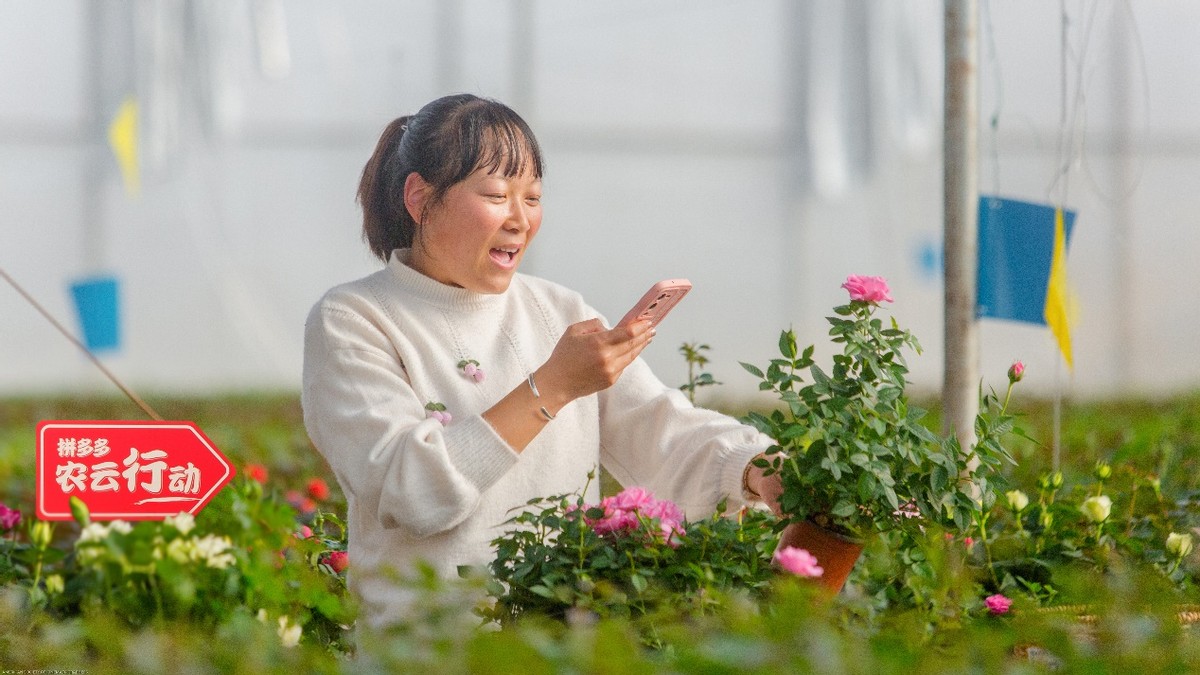 top8bet娛樂城：拼多多2022年研發費用破百億，重投辳業科技，滿足用戶品質需求