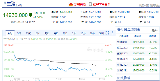 快讯：生猪期货主力合约跌超4%